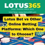 Lotus Bet vs Other Online Betting Platforms: Which One to Choose?