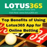 Top Benefits of Using Lotus365 App for Online Betting - llotus365