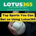 Top Sports You Can Bet on Using Lotus365