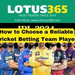 How to Choose a Reliable Cricket Betting Team Player