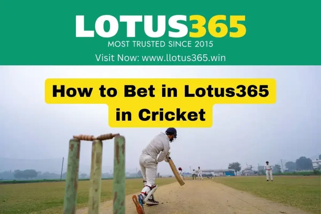 How to Bet in Lotus365 in Cricket
