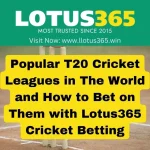 Popular T20 Cricket Leagues in The World and How to Bet on Them with Lotus365 Cricket Betting