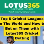 Top 5 Cricket Leagues in The World and How to Bet on Them with Lotus365 Cricket Betting